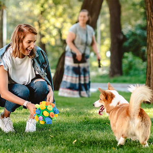 Kauspielzeug für Hunde