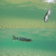 Laden Sie das Bild in den Galerie-Viewer, Schwimmen Fischköder