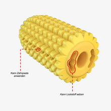 Laden Sie das Bild in den Galerie-Viewer, Interessante Beißstock Hundespielzeuge