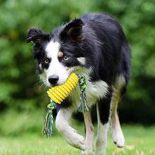 Laden Sie das Bild in den Galerie-Viewer, Interessante Beißstock Hundespielzeuge