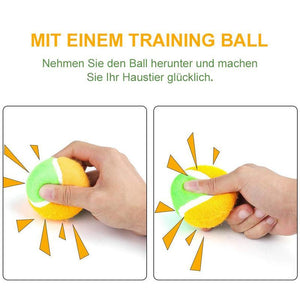 Lustiges Tier Ballpielzeug