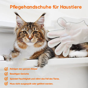 Haustier-Handschuhe ohne Waschen-6 Stück